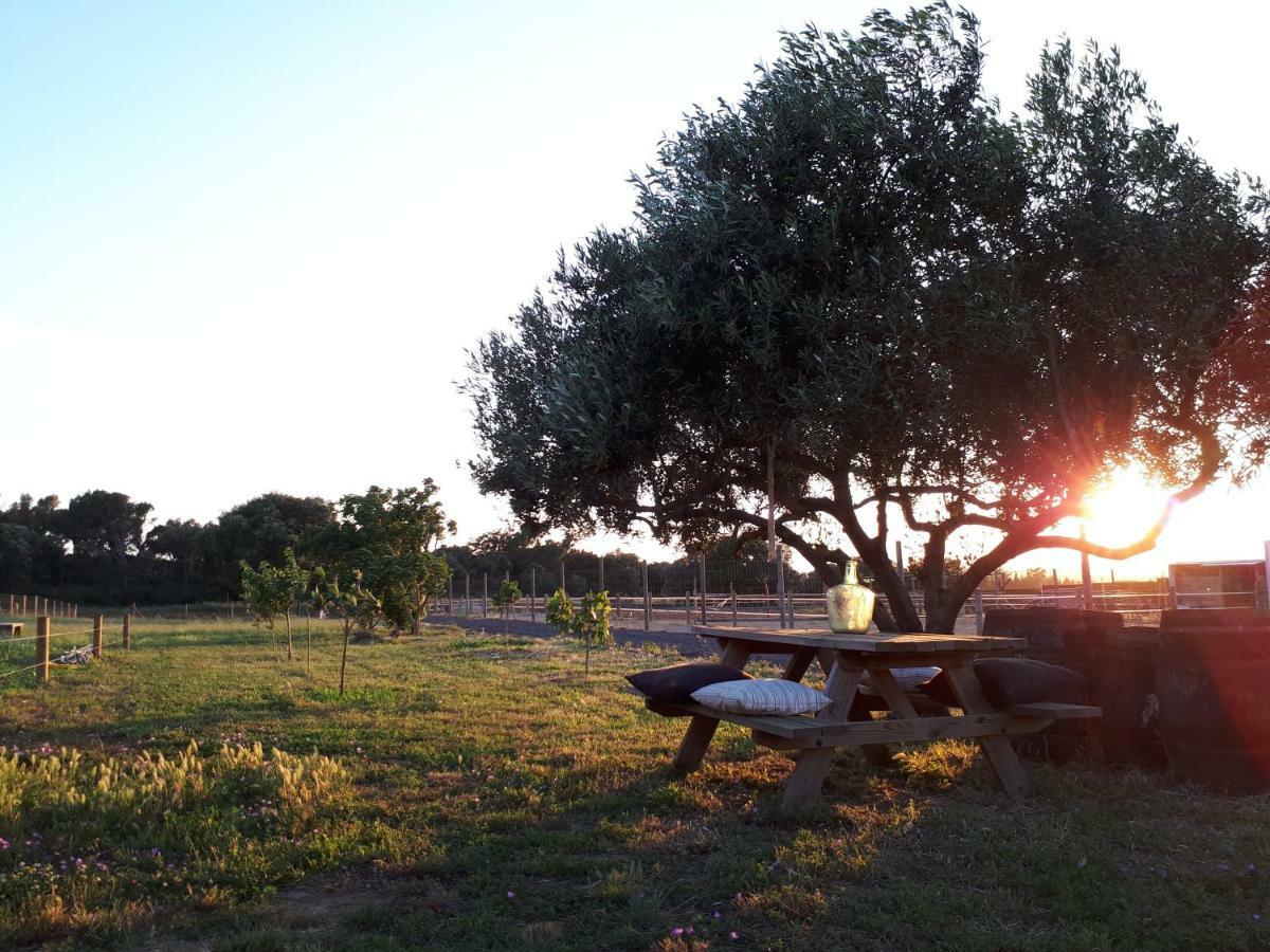 Apartamento En Casa De Campo Cerca De La Playa ปัลส์ ภายนอก รูปภาพ